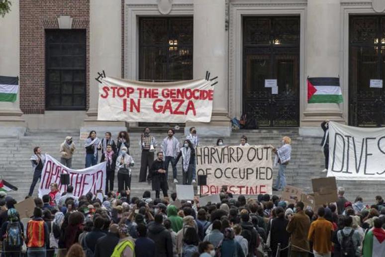 harvard palestina